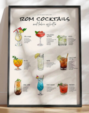 Cocktail med rom - 9 drinks opskrifter på drinks med rom
