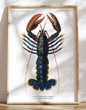 Hummer plakat