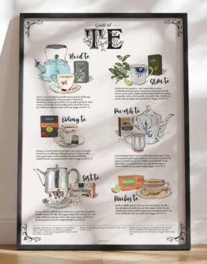 Guide til te - hyggelig, håndtegnet teplakat med tetyper du skal kende
