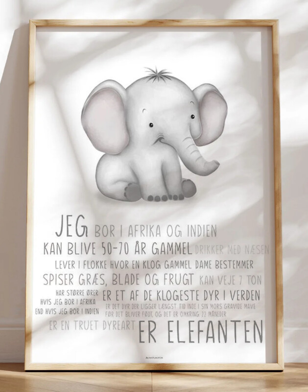 Børneplakat med elefant - lær om elefanten